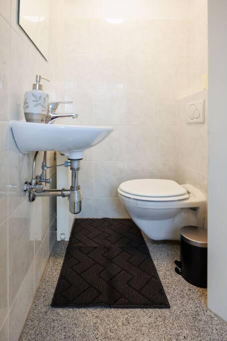Scenic Rooftop Flat With Terrace Βιέννη Εξωτερικό φωτογραφία